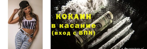 сатива Олёкминск