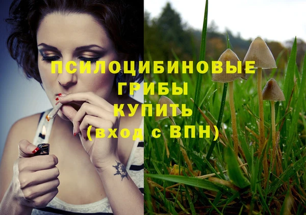 амф Михайлов