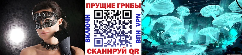 мега ссылки  Рубцовск  Галлюциногенные грибы Magic Shrooms 