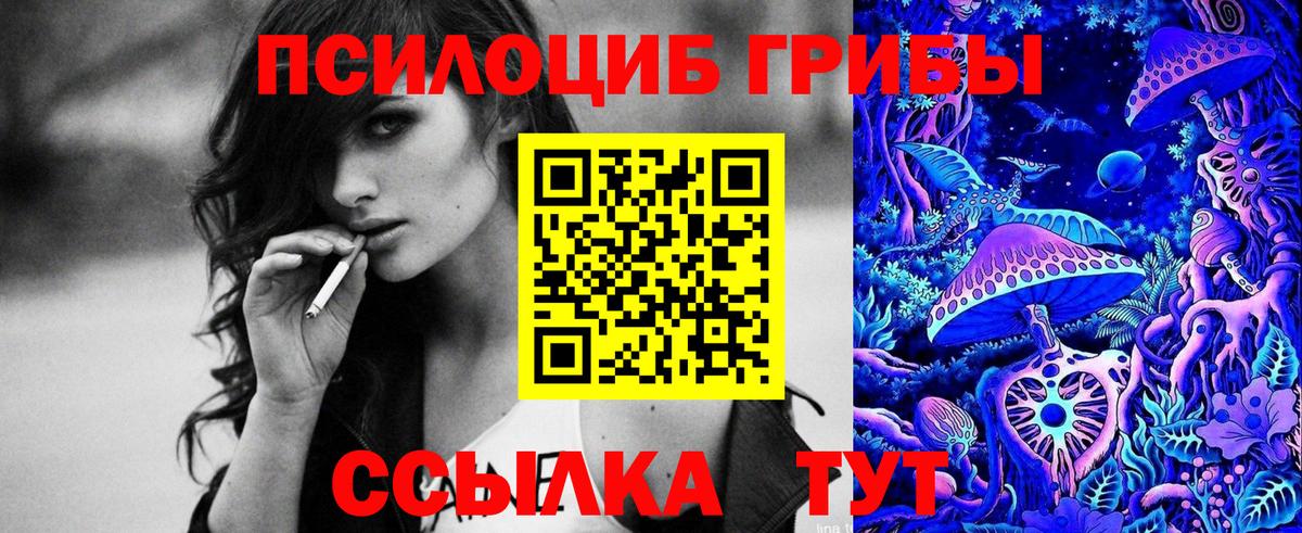 Галлюциногенные грибы Magic Shrooms  Рубцовск  Псилоцибиновые грибы MAGIC MUSHROOMS 