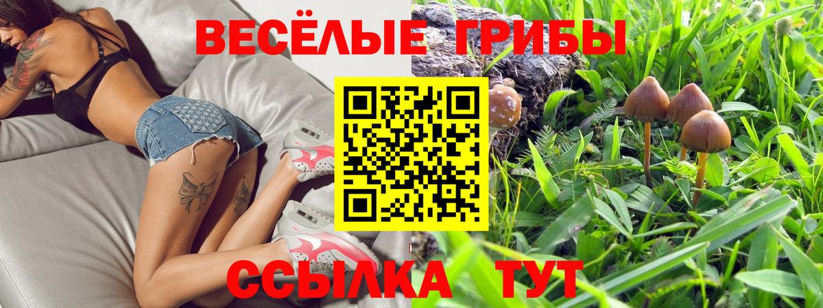 Псилоцибиновые грибы Psilocybe  Вход с VPN  Рубцовск  Галлюциногенные грибы Psilocybine cubensis 