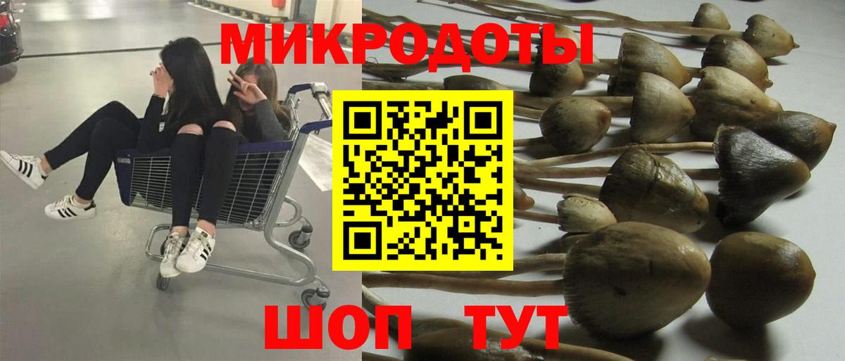 Псилоцибиновые грибы MAGIC MUSHROOMS Рубцовск